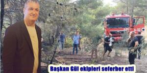 Başkan Gül yangında ekipleri seferber etti