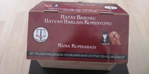 Hatay Barosu’ndan hayvan dostu hizmet