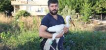 Adını “Leylektar” koydu, yorgun düşen leyleği iki gün misafir etti